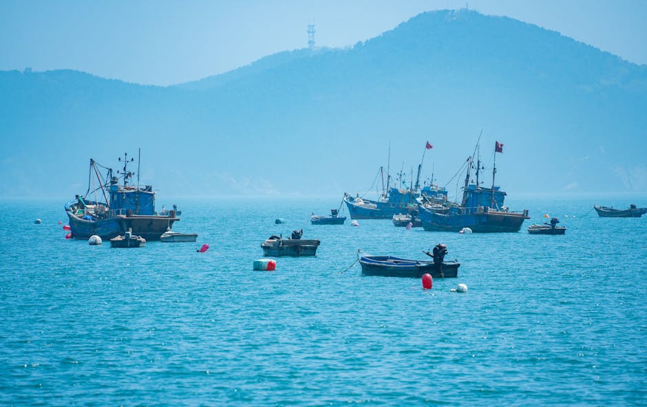Sustainable Fishing in the North Sea: What You Need to Know